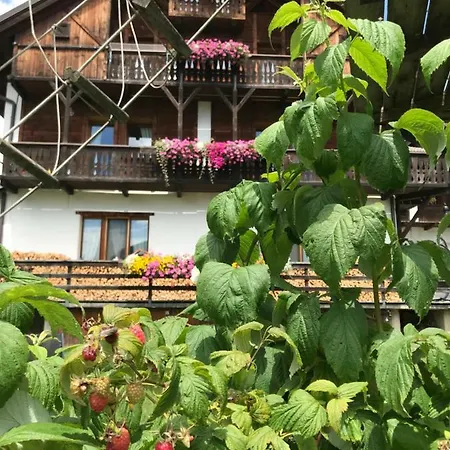 Casa Melide 2 * 博尔米奥